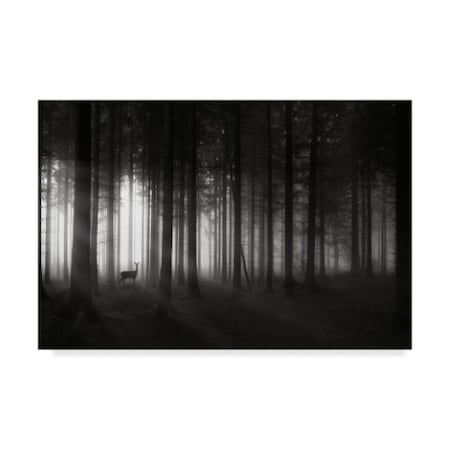 Christoph Hessel 'Deers Morning' Canvas Art,30x47